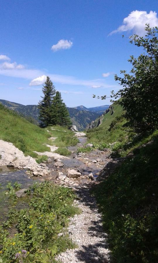 Apartment Alpenappartement Kleiner Tannheim